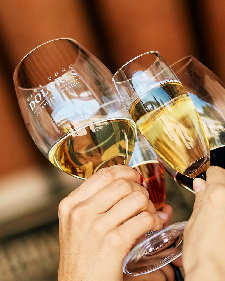 Brindis vinos club cuvee Freixenet