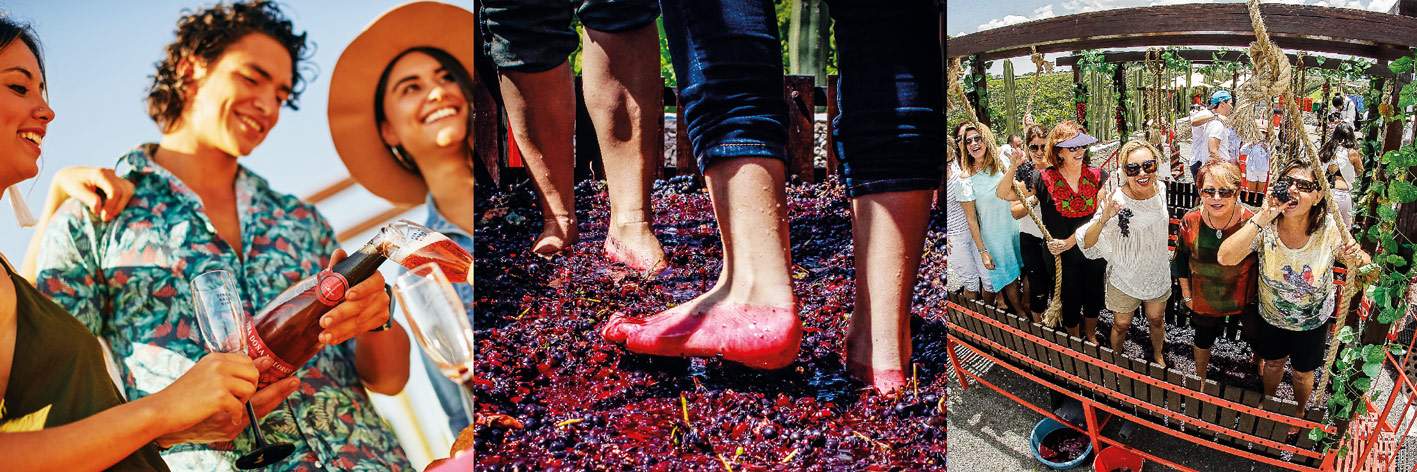 1 Eventos Vendimia Freixenet