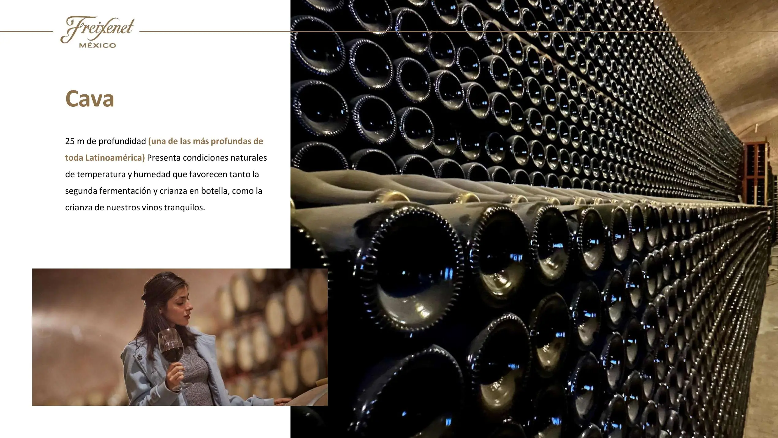 Freixenet Mexico Sala Vive 04 jpg