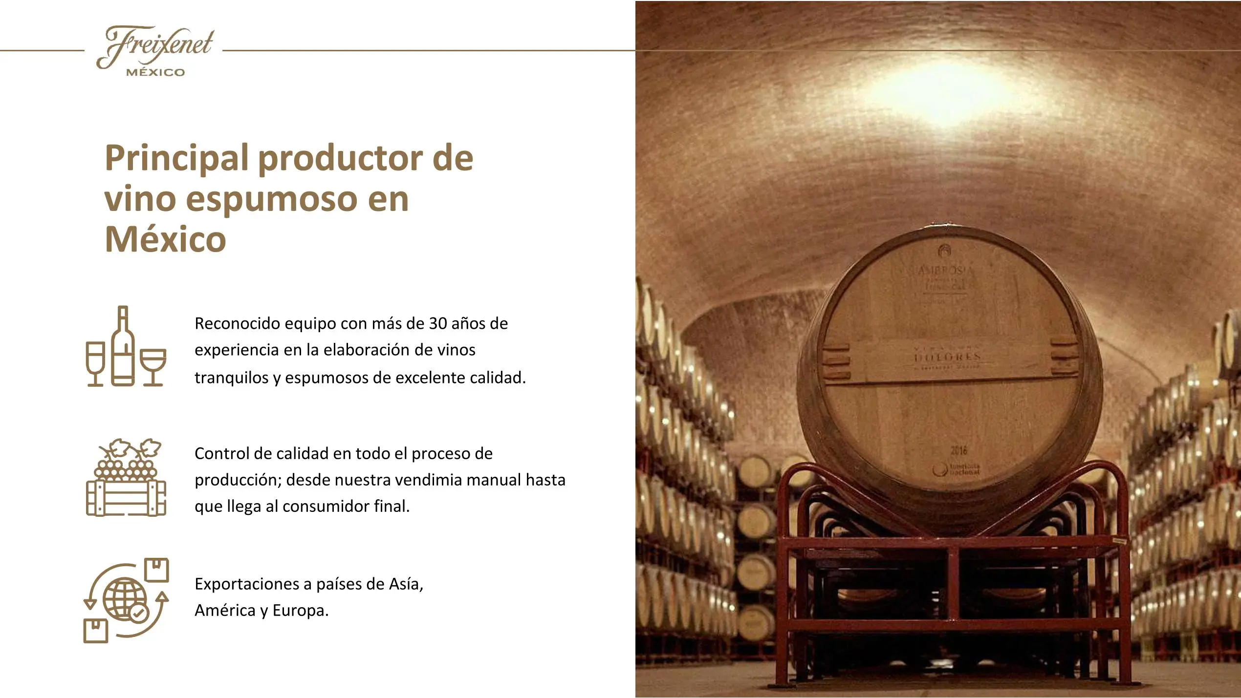 Freixenet Mexico Sala Vive 05 jpg