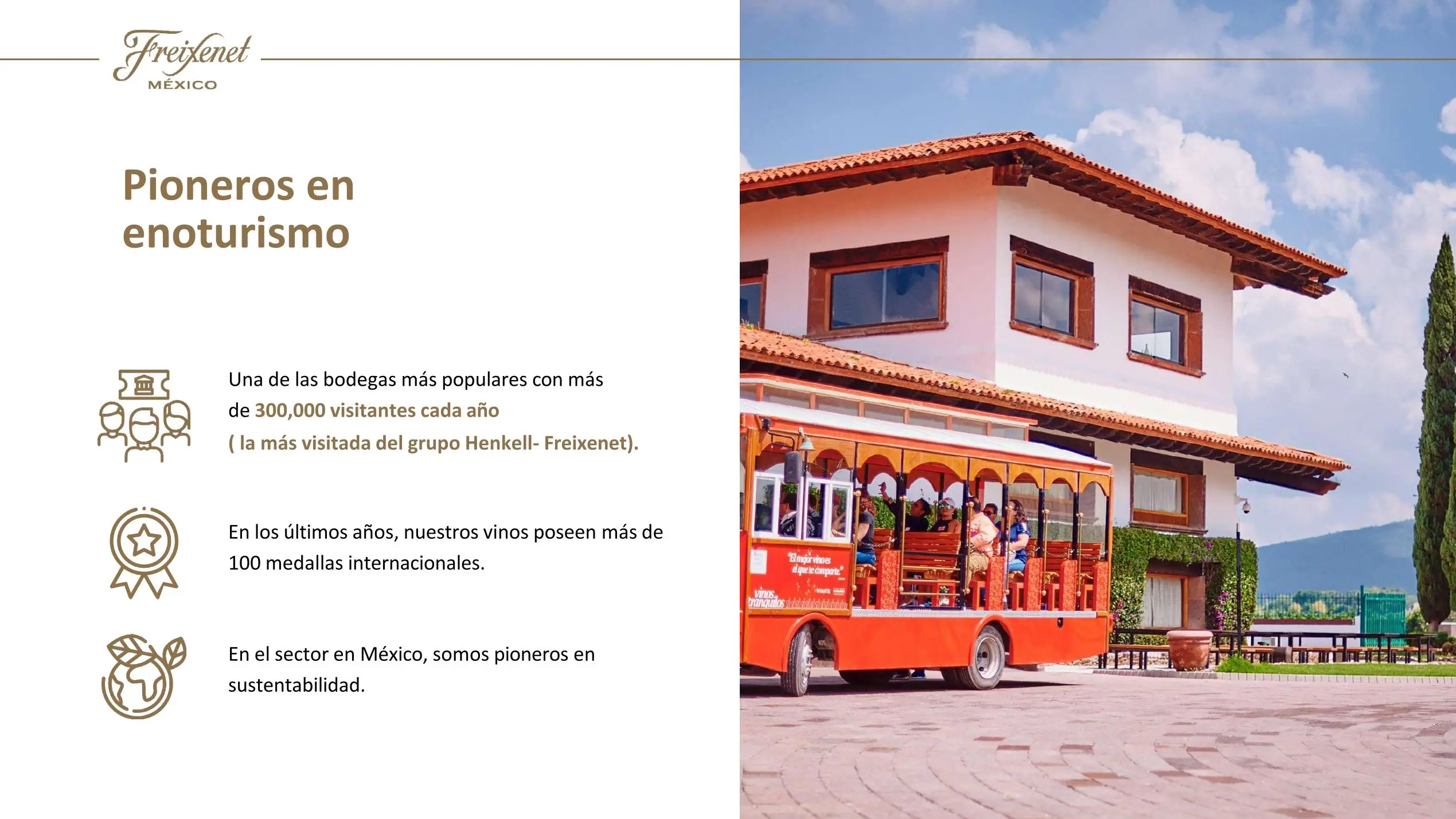 Freixenet Mexico Sala Vive 06 jpg