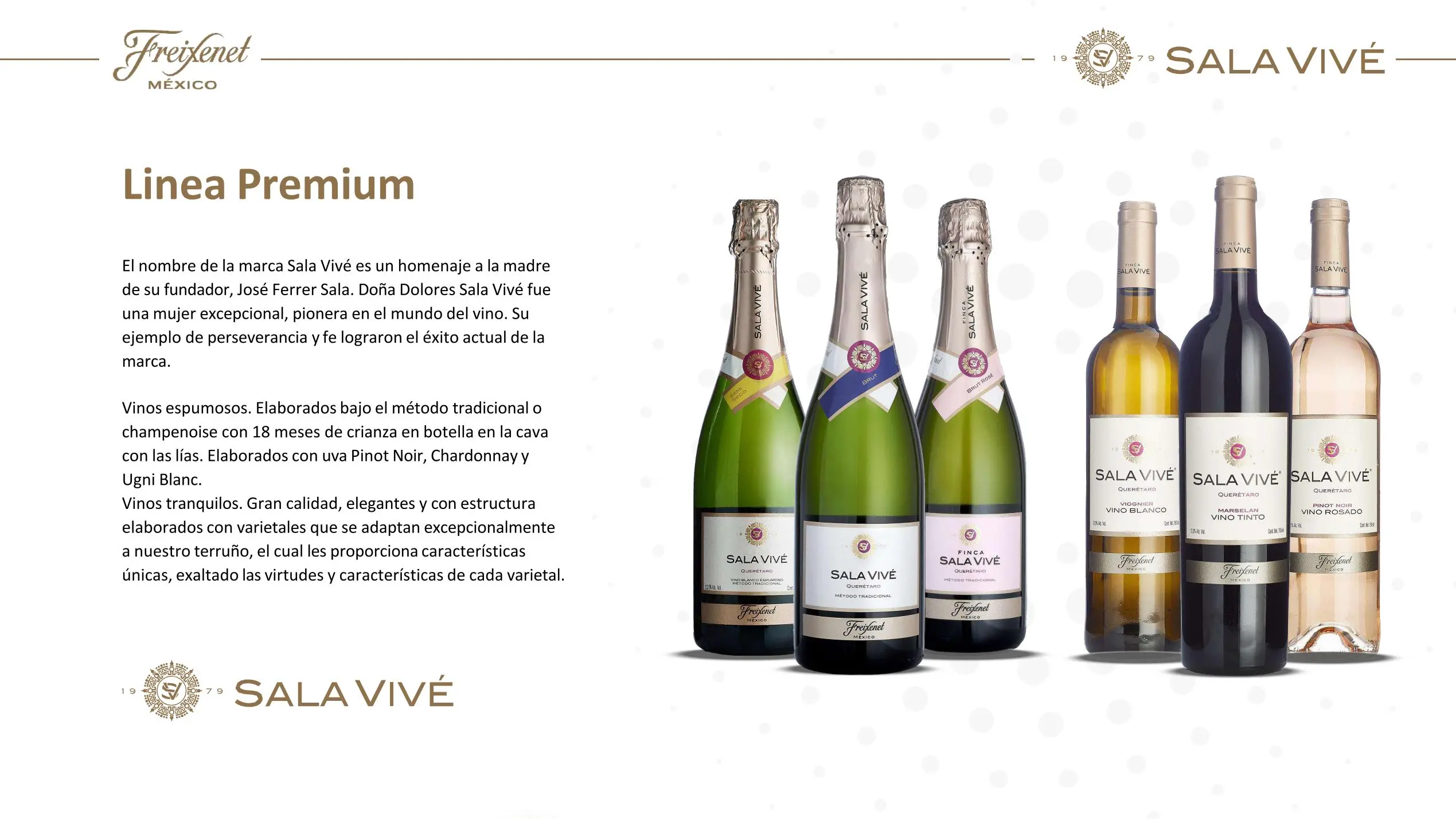 Freixenet Mexico Sala Vive 07 jpg