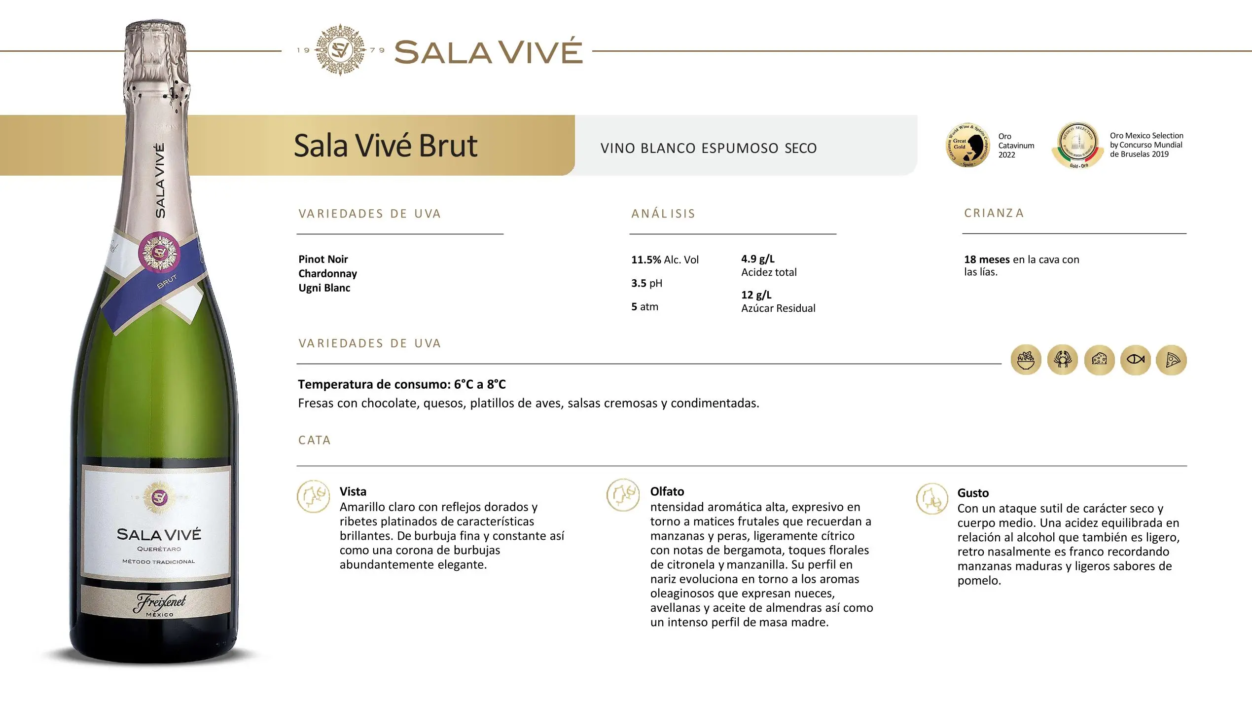 Freixenet Mexico Sala Vive 08 jpg