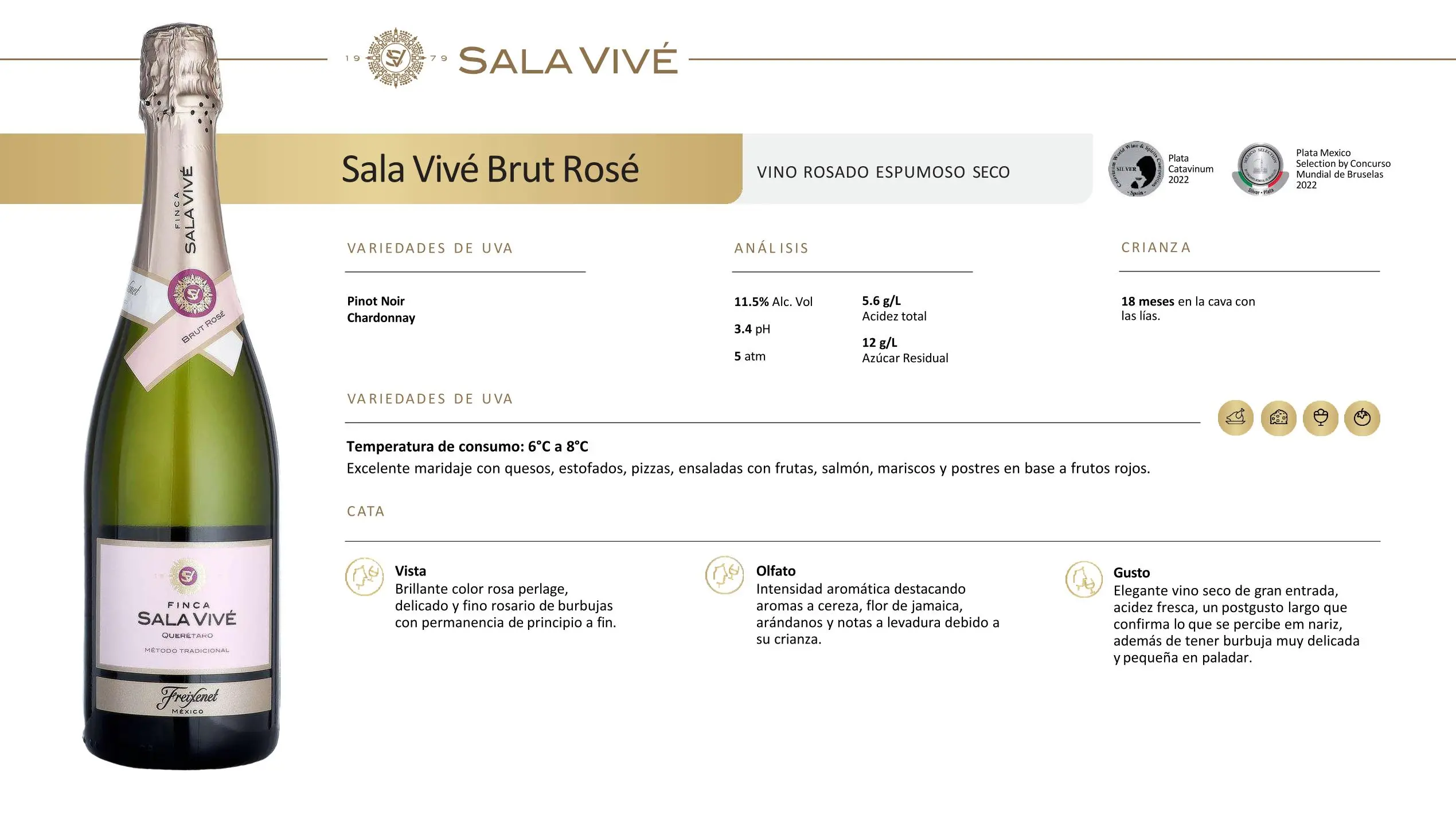 Freixenet Mexico Sala Vive 09 jpg