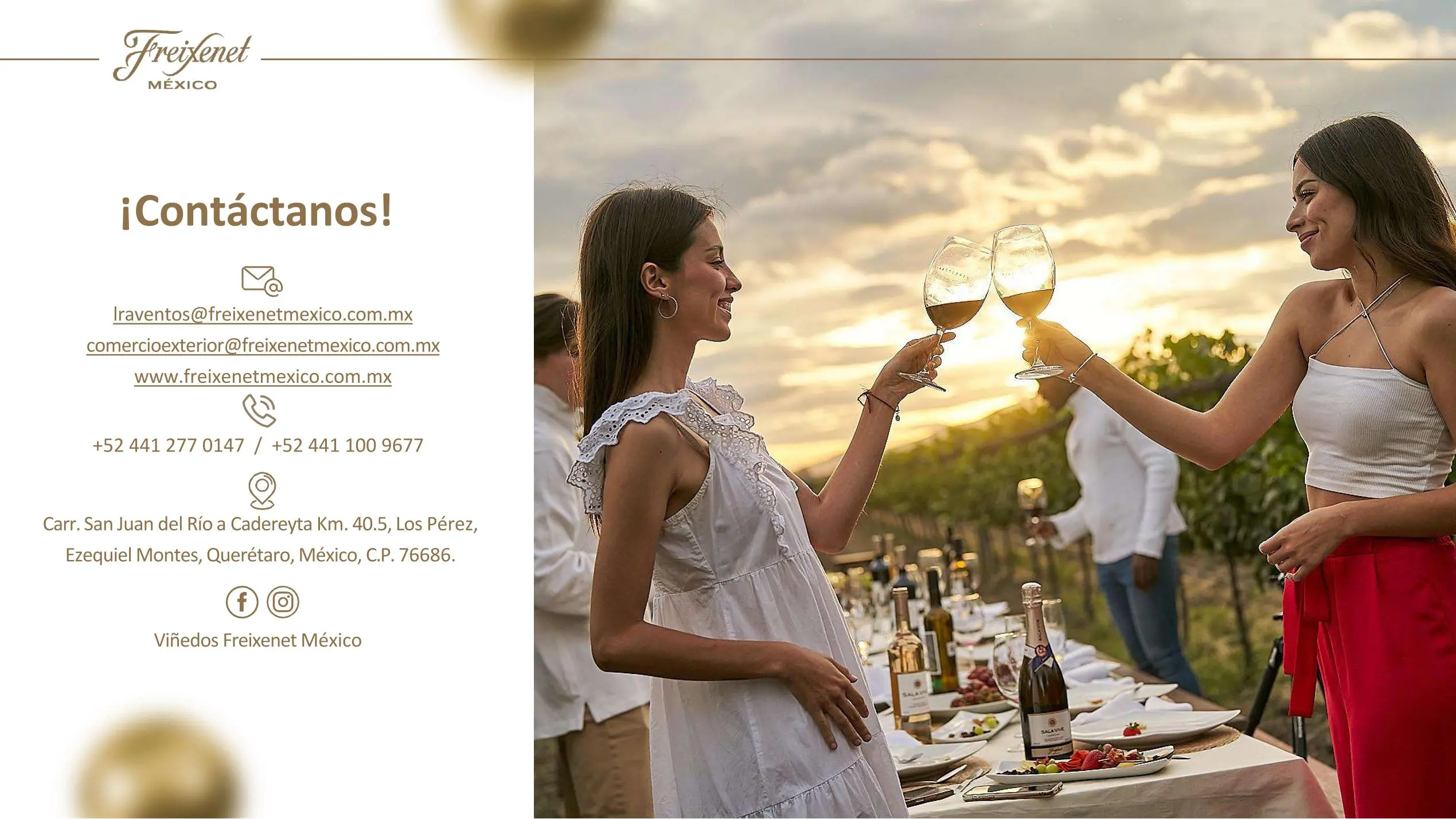 Freixenet Mexico Sala Vive 11 jpg