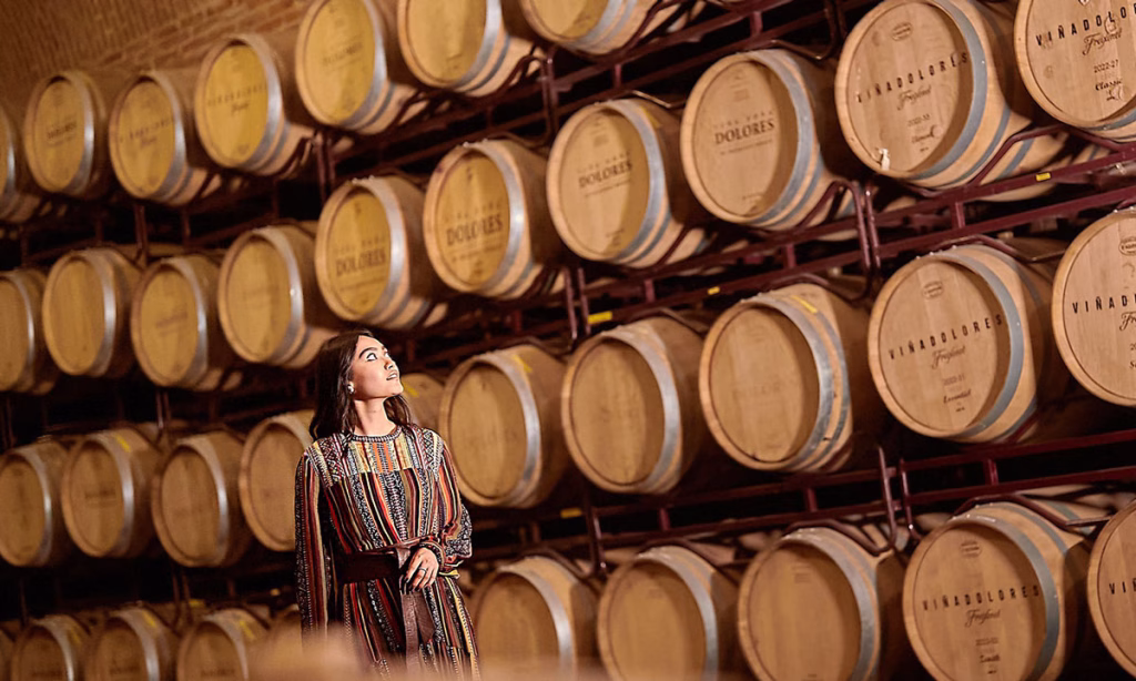 Sala Vive Espacios para eventos privados