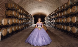 Sala Vive Sesiones de fotografias fiestas en Queretaro