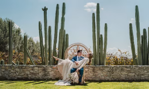 Vinedos en Queretaro