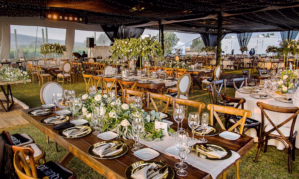 Vinedos en Queretaro Sala Vive