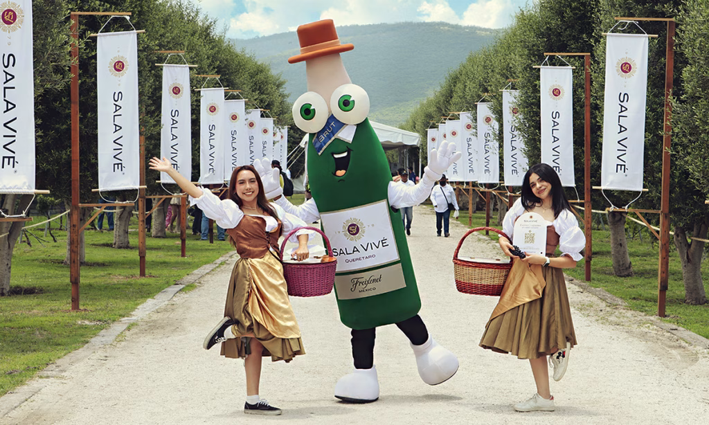 Sala Vive Fiesta de la Vendimia Eventos Anuales