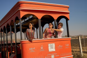 Querétaro el mejor lugar para aprender del vino 2 1.2 1