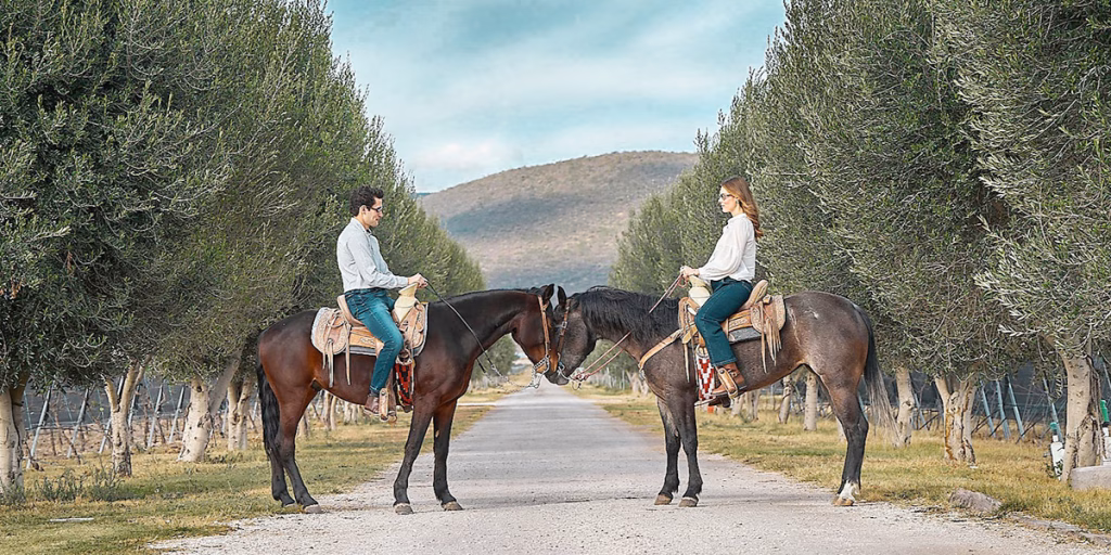 Cabalgando en vinedos Sala Vive Enoturismo