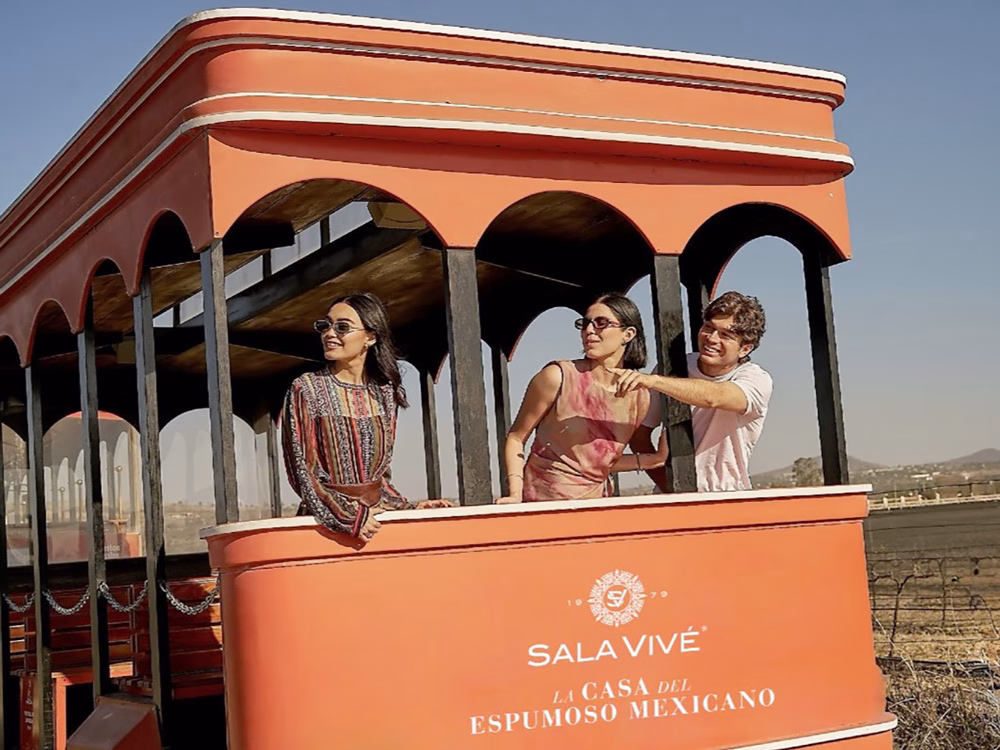 UvaBus Sala Vive Enoturismo