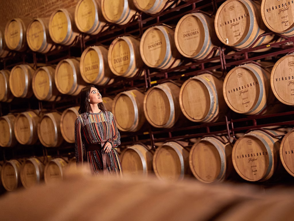 Visita guiada Sala Vive cavas