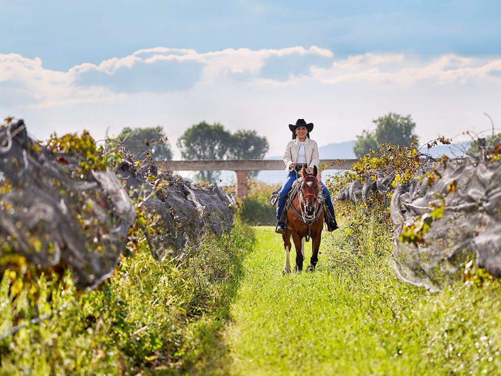 Cabalgando en vinedos Sala Vive Queretaro