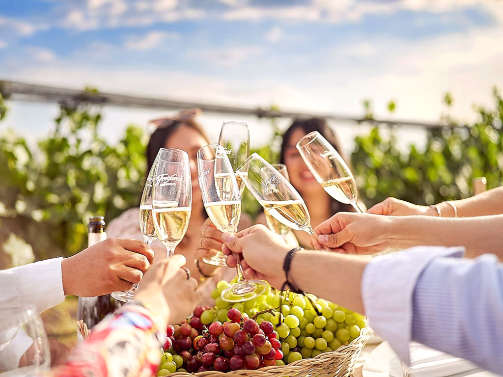 Cata Freixenet Global Sala Vive Queretaro