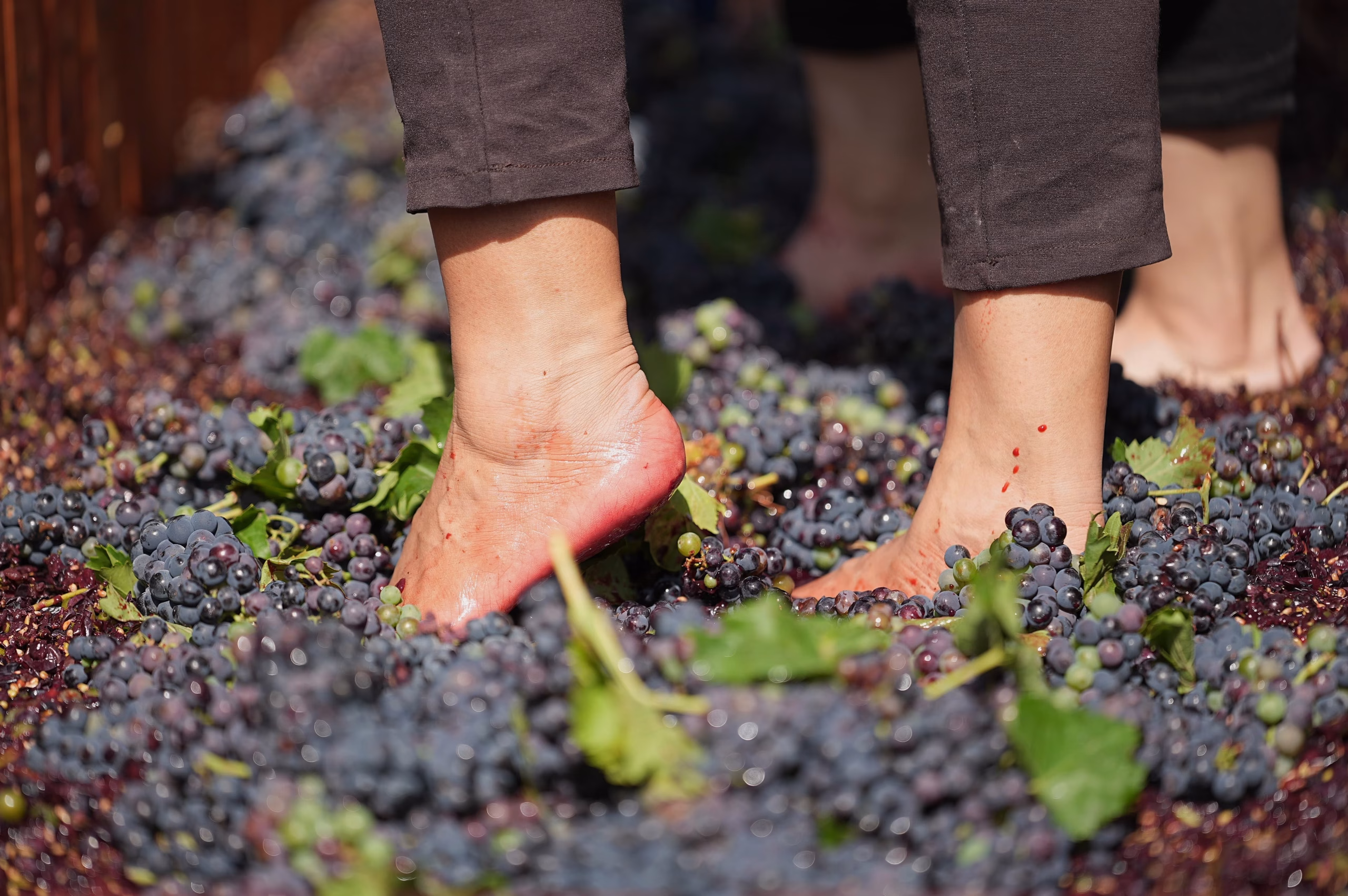 WhatsApp Image 2025 07 04 at 19.29.48 scaled