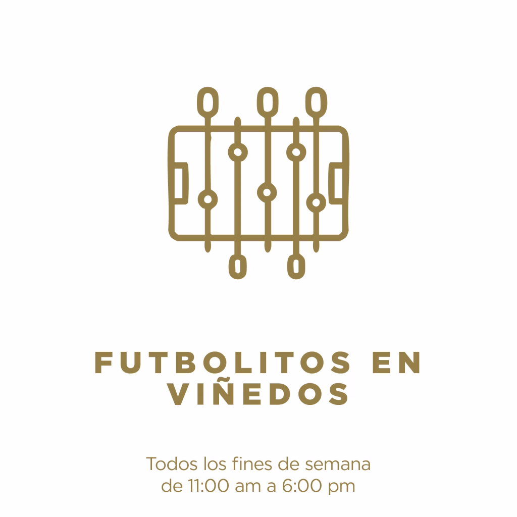 Futbolitos Vinedos Sala Vive Mundial Mexico 2026