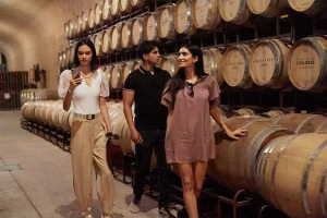 Verano en Querétaro: Las mejores experiencias en viñedos 2 DSC1569