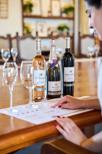 FREIXENET ENE2025 DSC08812