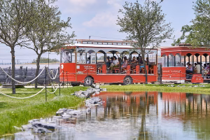 Los mejores viñedos para visitar en Querétaro este 2026 5 DSC05555