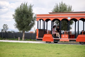 Experiencias y tours en viñedos de Querétaro: el plan perfecto para escapar de la rutina 2 DSC0658