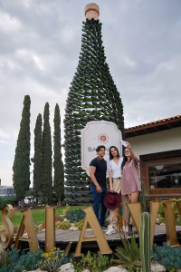 Los mejores viñedos para visitar en Querétaro este 2026 6 DSC1732