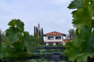 FREIXENET 07 2024 DSC09793 2