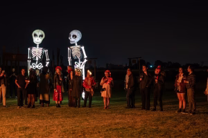 Día de muertos Sala Vivé